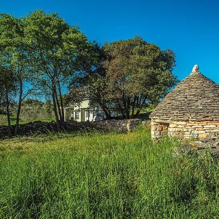 Holiday Home Bellissima Воднян Экстерьер фото